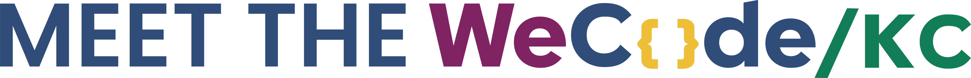 Meet the WeCode Team graphic